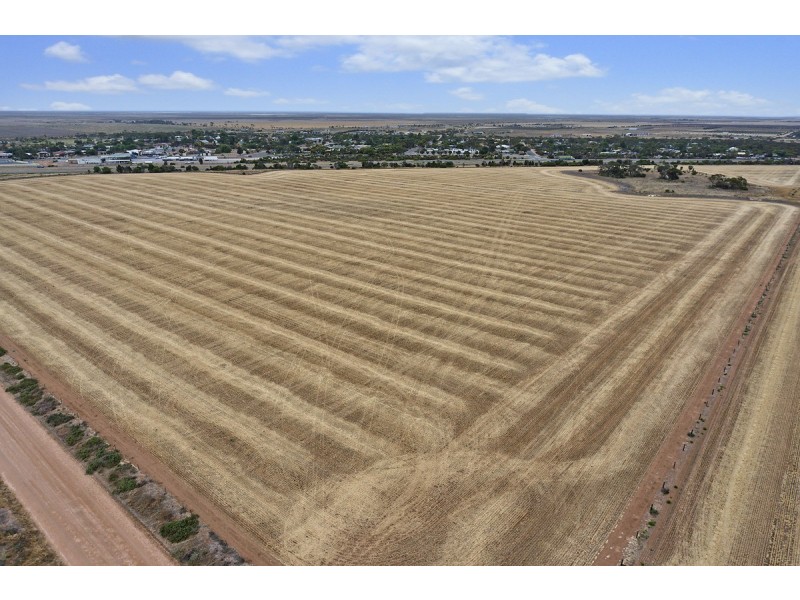 Lot 20 Avon Road, Dublin SA 5501