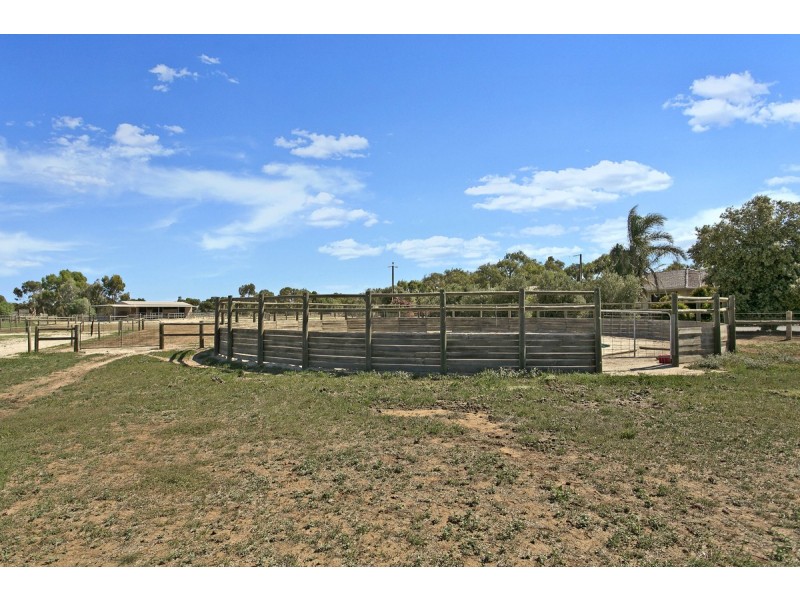 56 Richardson Road Lower Light Via, Two Wells SA 5501