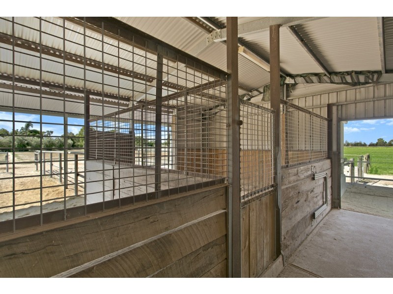 56 Richardson Road Lower Light Via, Two Wells SA 5501