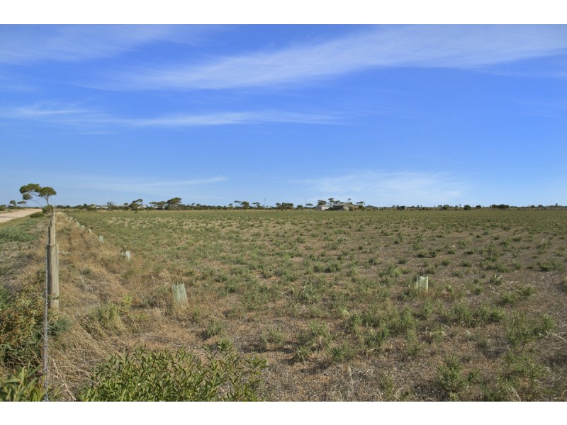 Lot 259 Schlodder Road, Dublin SA 5501