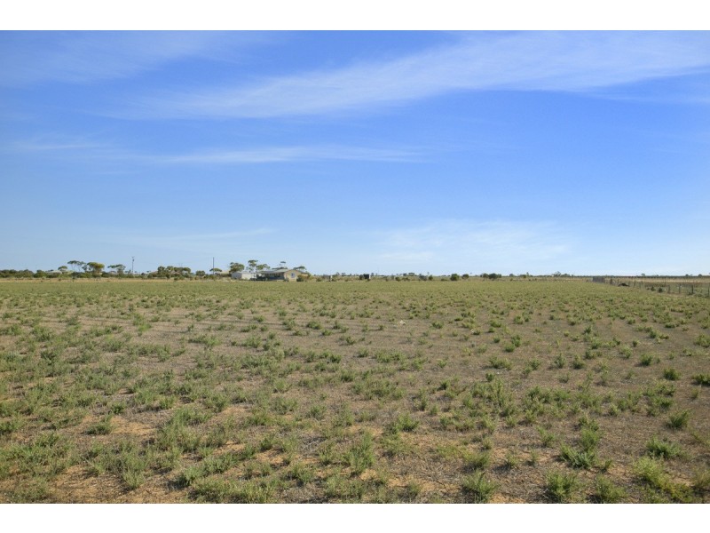 Lot 259 Schlodder Road, Dublin SA 5501