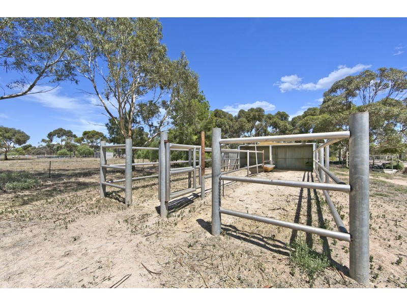 1294 Boundary Road, Lewiston SA 5501