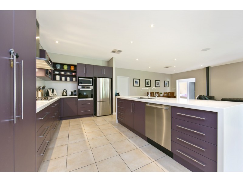 20 Rossiter Drive, Evanston Park SA 5116