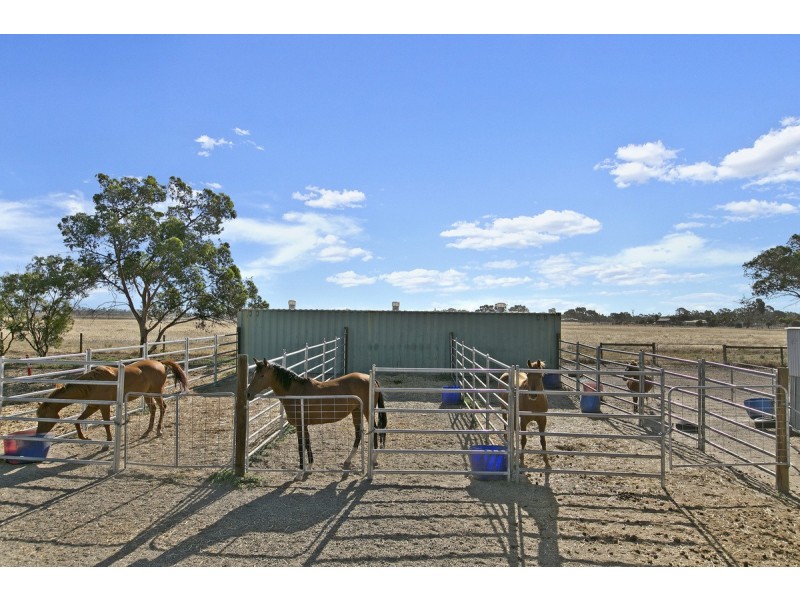 22 Coats Road, Lewiston SA 5501