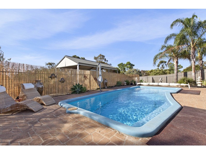 20 Phillips Avenue, Gawler East SA 5118