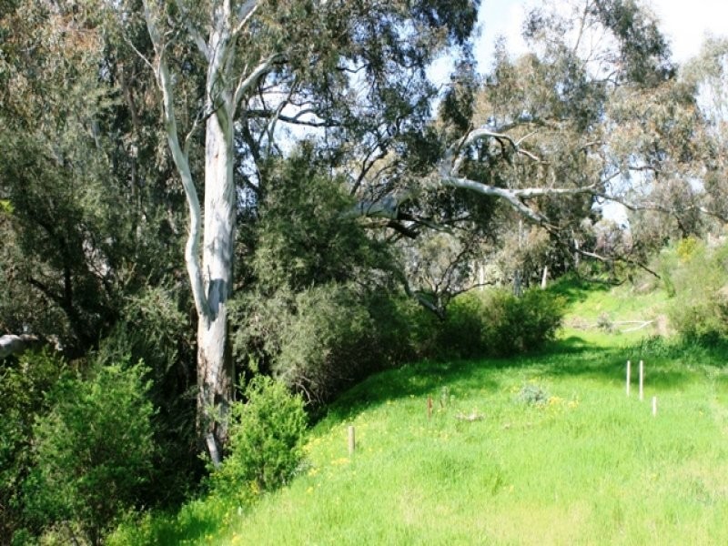 4, 5, 6 Strickland Street, Clare SA 5453