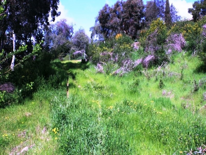 4, 5, 6 Strickland Street, Clare SA 5453