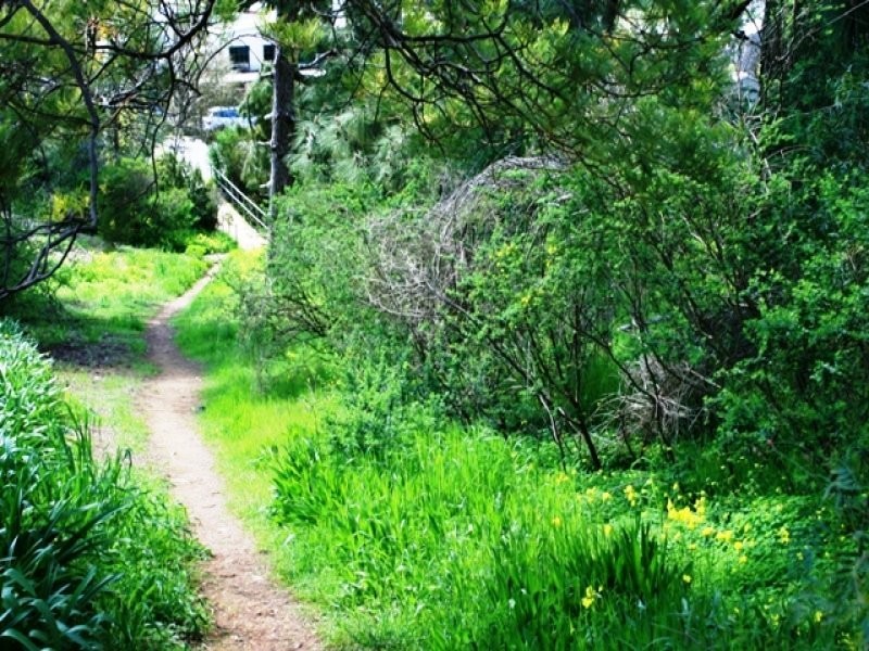 4, 5, 6 Strickland Street, Clare SA 5453