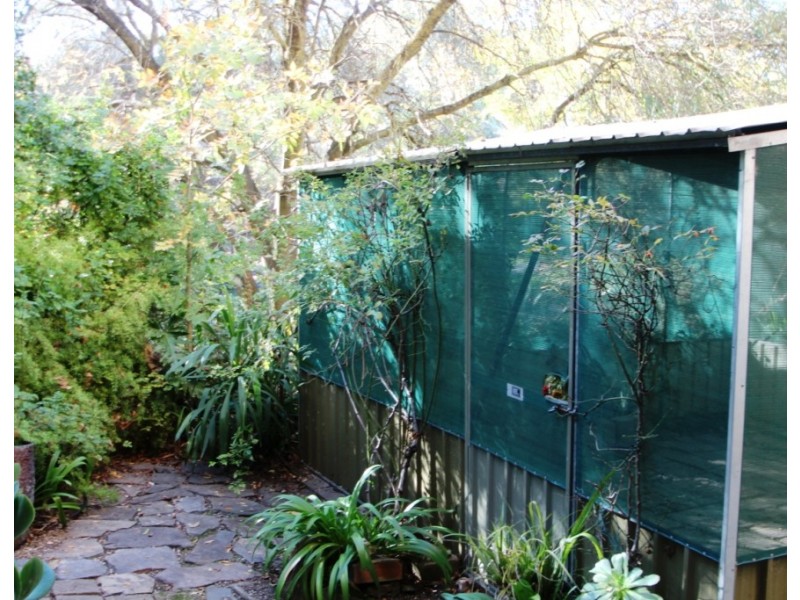 56 Murray Street, Angaston SA 5353