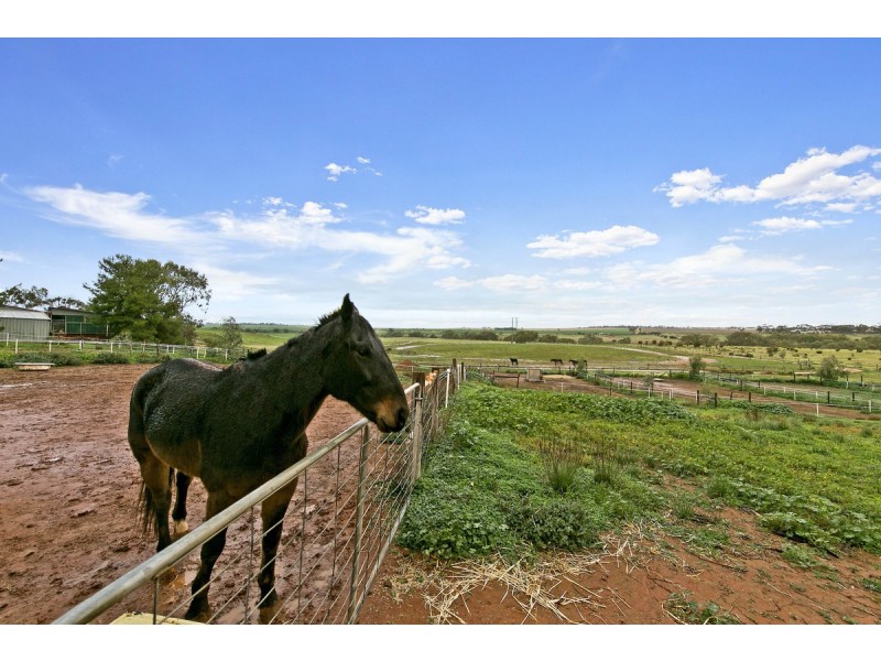 1086 Barabba Road, Mallala SA 5502