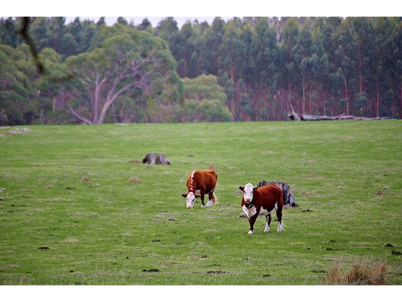 57 Dawson Road, Mount Crawford SA 5351