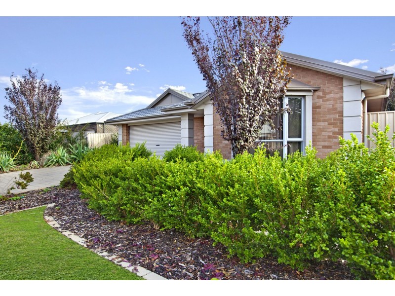 7 Roche Street, Freeling SA 5372