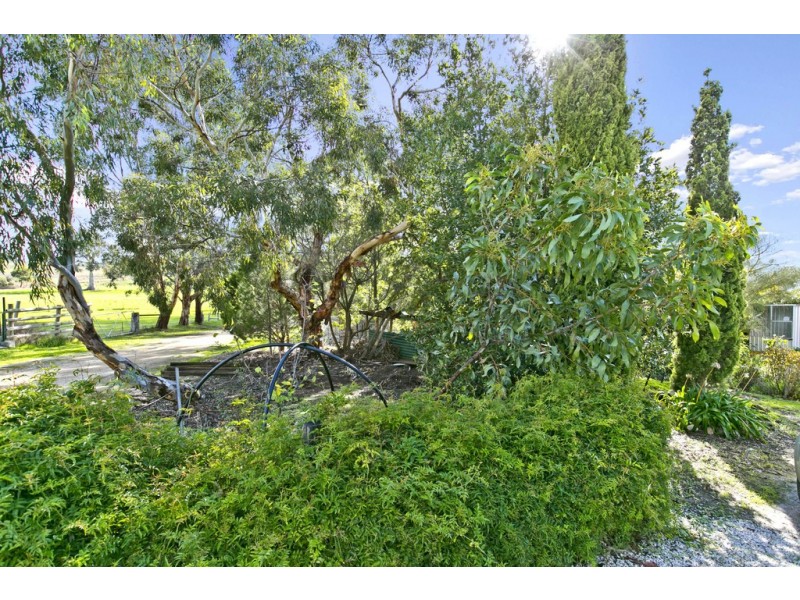 42 Angas Street, Springton SA 5235