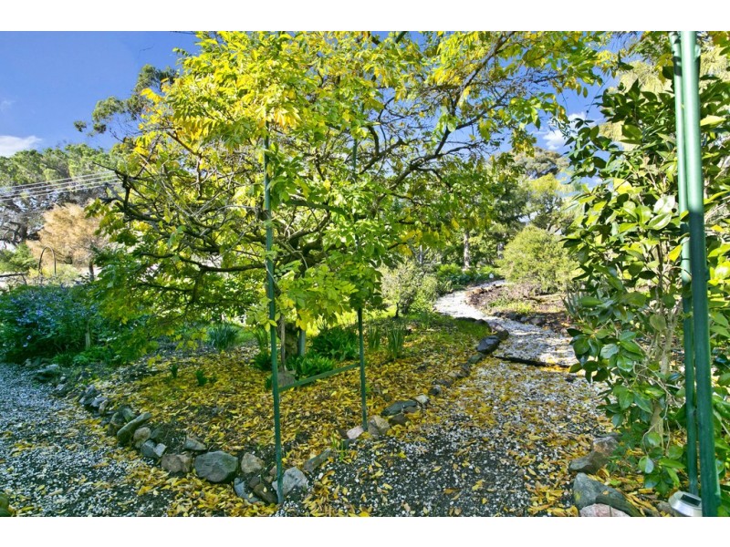 42 Angas Street, Springton SA 5235