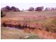 Lot 80 Langhorne Creek Road, Strathalbyn SA 5255