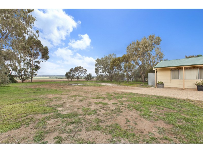 30 Fiddlewood Drive, Freeling SA 5372