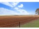 30 Fiddlewood Drive, Freeling SA 5372