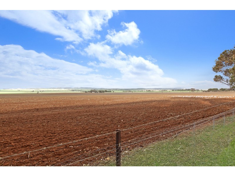 30 Fiddlewood Drive, Freeling SA 5372