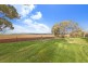 30 Fiddlewood Drive, Freeling SA 5372