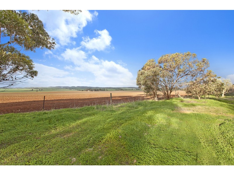 30 Fiddlewood Drive, Freeling SA 5372