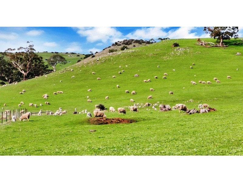 Lot 325 Old Glen Road, Pewsey Vale SA 5351