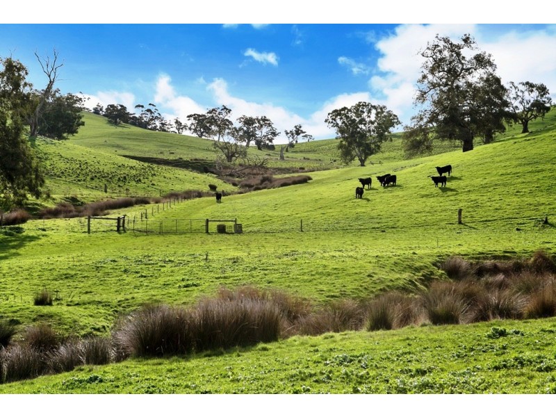 Lot 325 Old Glen Road, Pewsey Vale SA 5351