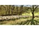 Lot 325 Old Glen Road, Pewsey Vale SA 5351