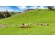 Lot 325 Old Glen Road, Pewsey Vale SA 5351