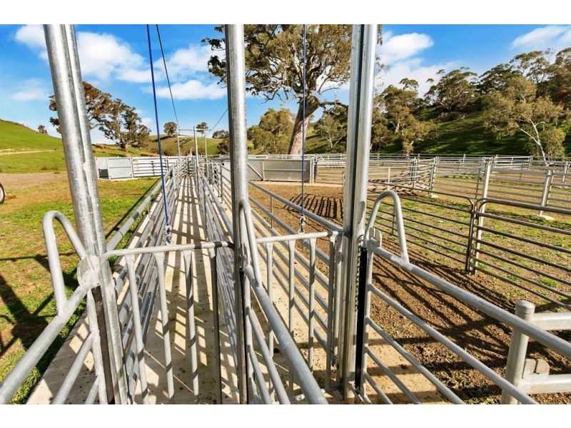 Lot 325 Old Glen Road, Pewsey Vale SA 5351