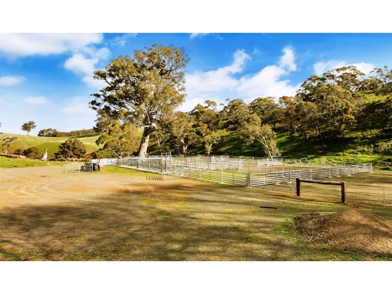 Lot 325 Old Glen Road, Pewsey Vale SA 5351