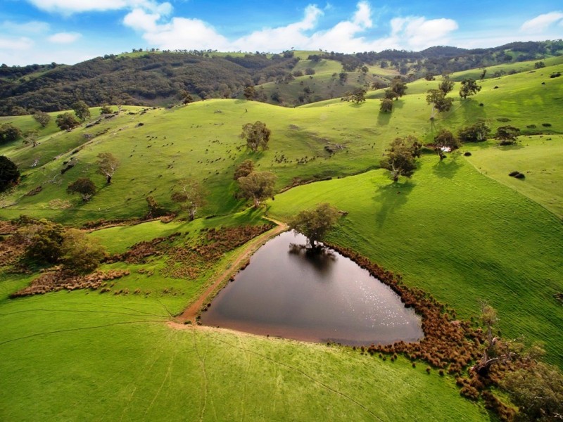 Lot 325 Old Glen Road, Pewsey Vale SA 5351