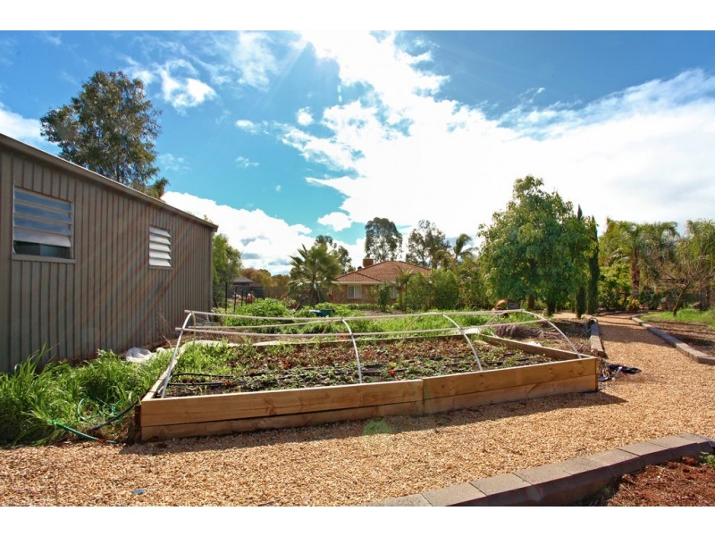 7 Matz Court, Gawler East SA 5118