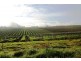 Lot 5 Gardiner Road, Auburn SA 5451