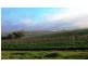 Lot 5 Gardiner Road, Auburn SA 5451