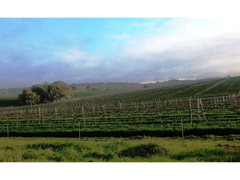 Lot 5 Gardiner Road, Auburn SA 5451