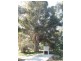 Lot 268 Sanderston Road, Sanderston SA 5237