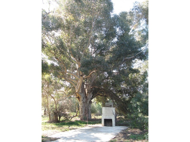 Lot 268 Sanderston Road, Sanderston SA 5237