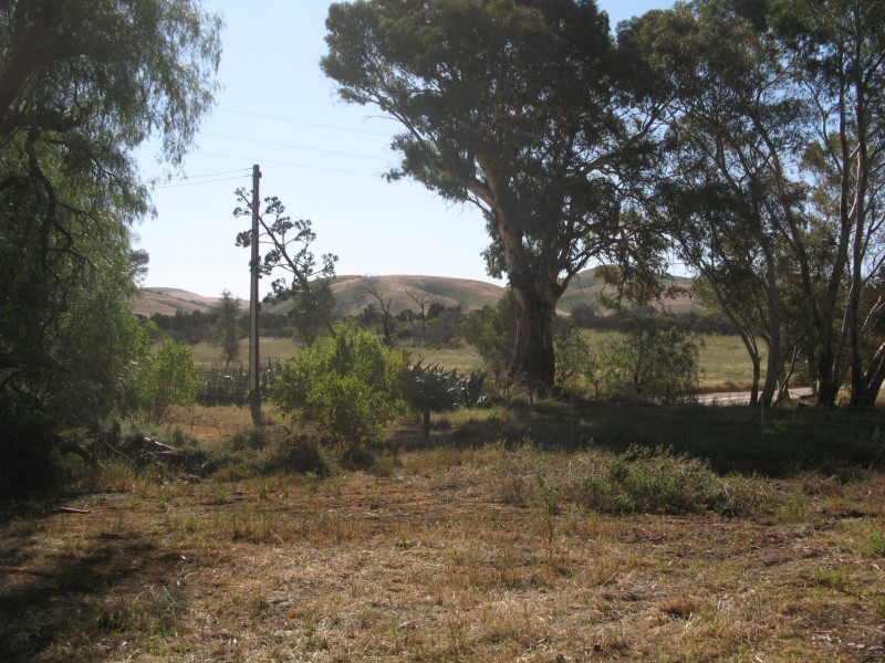 Lot 268 Sanderston Road, Sanderston SA 5237