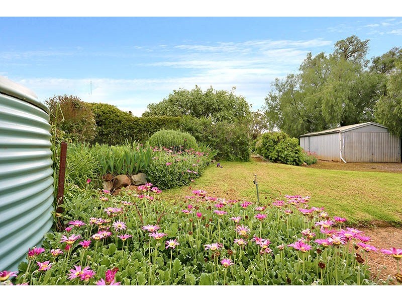 10 Strickland Street, Kapunda SA 5373
