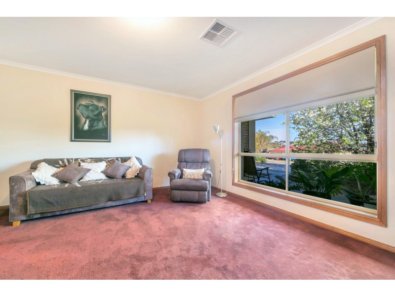 17 Meaney Drive, Freeling SA 5372
