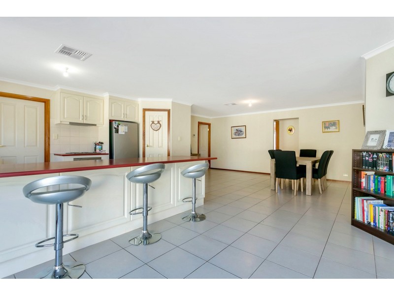 17 Meaney Drive, Freeling SA 5372