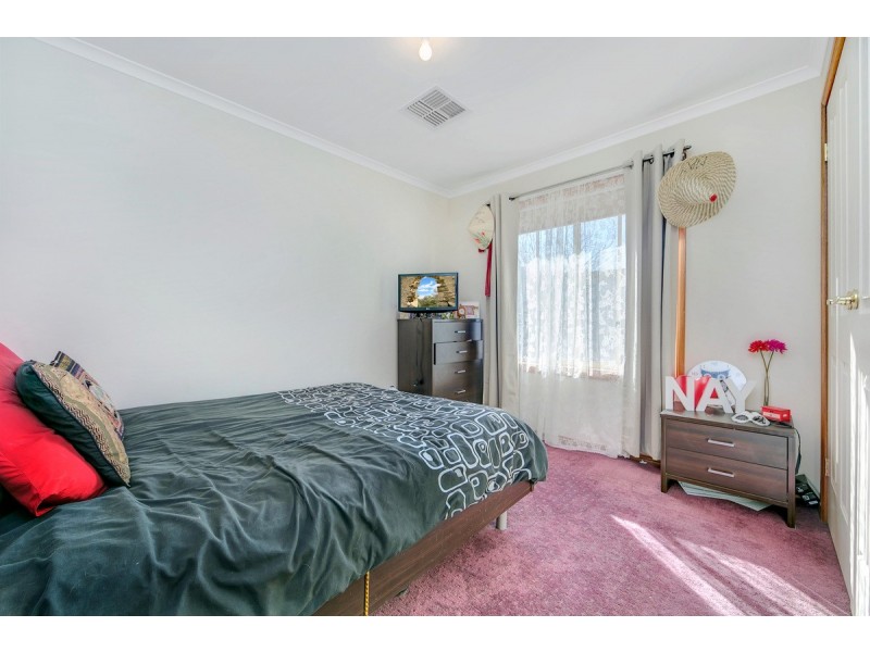 17 Meaney Drive, Freeling SA 5372