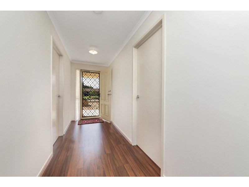 80 Borrow Street, Freeling SA 5372