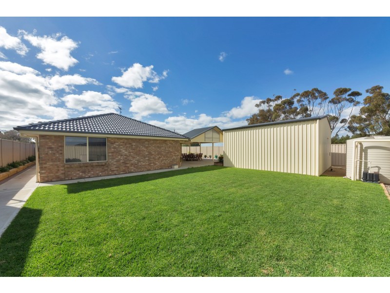 80 Borrow Street, Freeling SA 5372