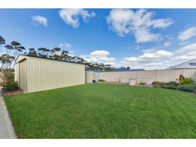 80 Borrow Street, Freeling SA 5372