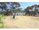 455 Rosedale Road, Rosedale SA 5350