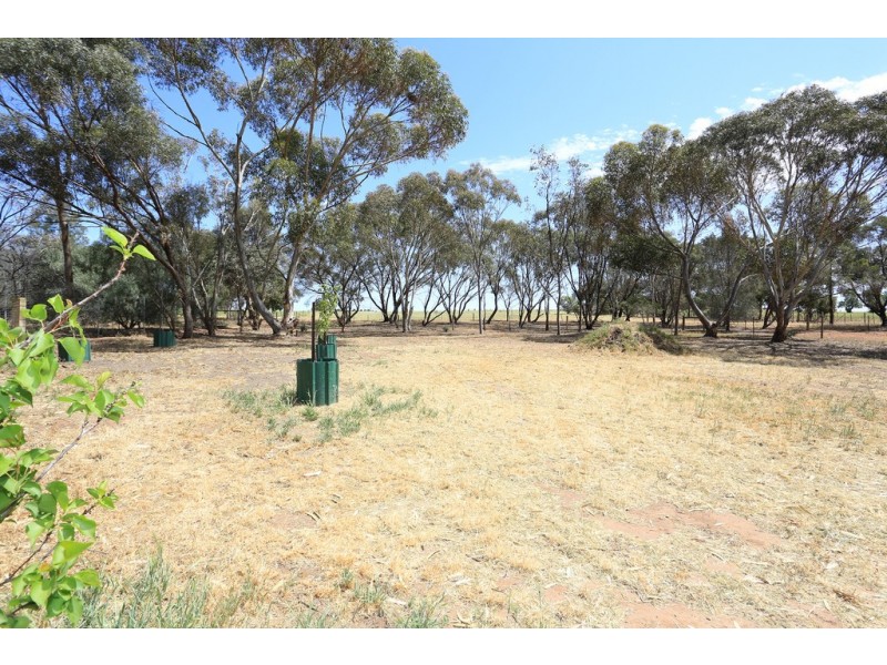 455 Rosedale Road, Rosedale SA 5350