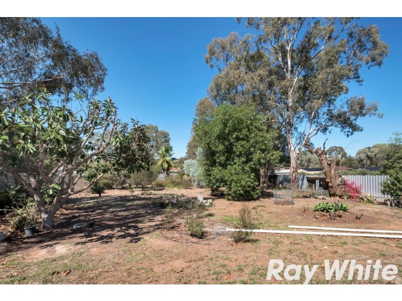 21 Jane Street, Willaston SA 5118