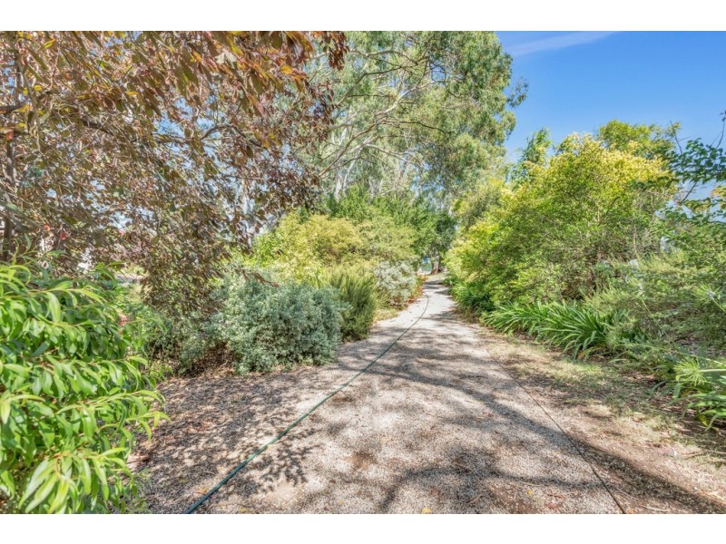 3 Greenwood Lane, Tanunda SA 5352