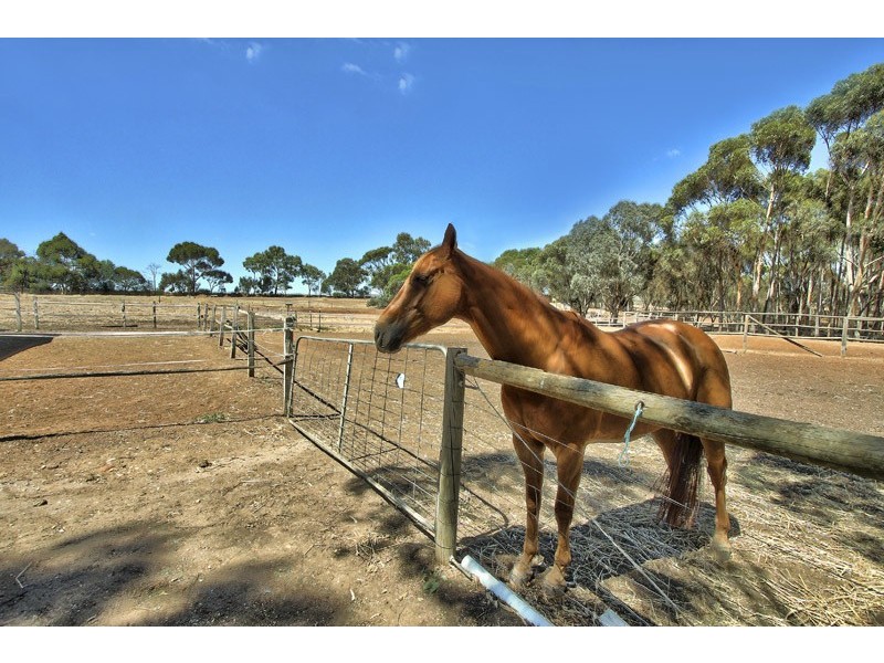 17 Kalbeeba Road, Kalbeeba SA 5118